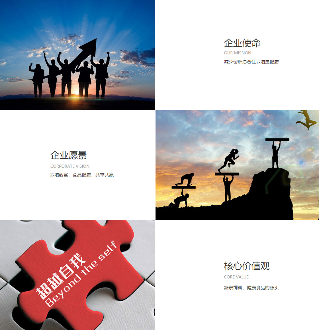 AG平台官方入口(图1)